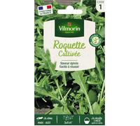 Graines - Vilmorin - Roquette cultivée