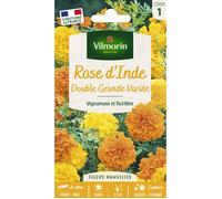 Graines - Vilmorin - Rose d'Inde Double Grande Variée