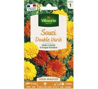 Graines - Vilmorin - Souci Double Varié