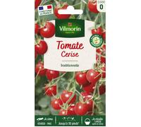 Graines - Vilmorin - Tomate Cerise