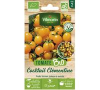 Graines - Vilmorin - Tomate Cocktail Clémentine - BIO