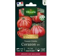 Graines - Vilmorin - Tomate Corazon HF1 - Graines d'Exception