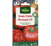 Vilmorin - Tomate Marmande