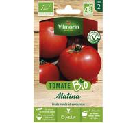 Tomate Matina - BIO