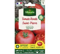 VILMORIN Tomate Saint-Pierre Sachet de graines - Echantillon tomate Agora