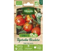 Tomate Tigerella Bicolore - BIO