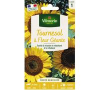 Graines - Vilmorin - Tournesol à Fleur Géante