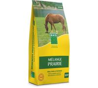Graminée - BHS - Mélange pour prairies - 5 kg | Pour 500 m² | Idéal pour les grandes surfaces et les pâturages | Facile à installer, durable et ne nécessitant aucun entretien.