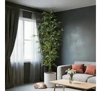 Grand arbre de bambou artificiel 160-195cm, feuilles de palmier tropical en plastique, arbre de sang de dragon vert, convient pour la décoration de la maison, du jardin, du bureau, 1 plante hors pot 2