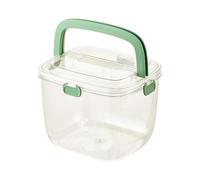 Grand bac à glace anti-fuite avec couvercle - Refroidisseur portable transparent pour bar, jardin, camping, bière, champagne, vin, utilisation d'été (vert, 20 cm)