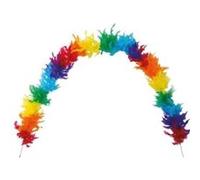 Grand Boa multicolore en plumes pour votre fête de 180cm (x1) REF/40060 multicolore G