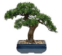 Grand bonsaï artificiel – Podocarpus vert de 41 cm de haut dans un pot en céramique – plante artificielle facile d'entretien pour le salon, le bureau ou comme décoration