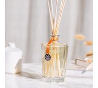 Grand diffuseur ambre précieux