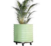 Grand Jardinière surélevée en Acier galvanisé sur roulettes,Potager surélevé avec réserve d’Eau,Durable & Antirouille,Bac surélevé/Carré Potager pour Jardin,Terrasse,Balcon(60X60X70cm,Vert)