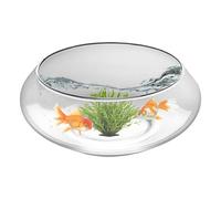 Grand Pot Peu Profond Grand Vase Rond Décoratif en Verre | Pot à 25 cm pour d'Intérieur Pour Cactus, , Intérieur, Extérieur, Jardin, Arrière-Cour, Pelouse, Fontaine Et