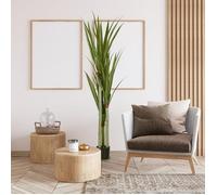 Grand yucca artificiel, 190 cm, en plastique, en pot, 17 x 17 x 190 cm, vert émeraude