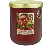 Grande bougie épices et cranberry