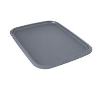 Grande plaque de cuisson, grise - Acier au carbone - BergHOFF|Gem Line