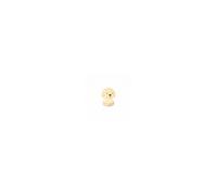 Grande Veilleuse Chien Big'dog Blanc