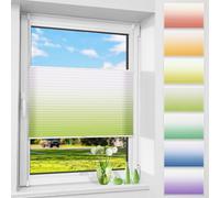 Grandekor Plissé sans percer avec dégradé de couleurs, vert/blanc 95x100cm (lxh), Plissé Klemmfix, Stores plissés pour fenêtres et portes, protection visuelle et solaire