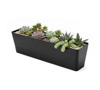 GREANER Jardinière rectangulaire en Plastique avec Plateau Amovible et Trous de Drainage pour Balcon, Bureau, Rebord de fenêtre, Jardin, intérieur et extérieur, 40,6 x 9,6 cm, Noir
