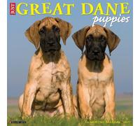 Great Dane Puppies 2027 Wall