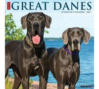 Great Danes 2027 Wall