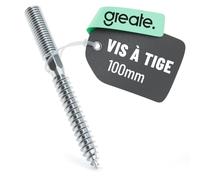 greate Vis tire-fond M10 zinguée 100 mm | pour embout Torx TX25 / clé SW8 - vis en acier zingué montage de colliers descente sur façade - tige filetée