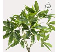 Green BoutiQ - kunstplant - Pachira aquatica - Geldboom - 90cm - Vert - sans Entretien - Haute qualité