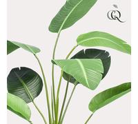 Green BoutiQ - kunstplant - Strelitzia nicolai - Paradijsvogelbloem - 120cm - Vert - sans Entretien - Haute qualité