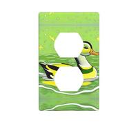 Green Duck Kit de plaques murales double face, couvercle de prise électrique, taille standard : 11,4 x 7,9 cm