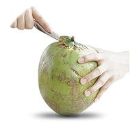 Greensen Ouvre-Noix de Coco, Outil de Forage de Noix de Coco en Acier Inoxydable avec Poignée Ergonomique, 16,5 X 8 X 1,5 Cm, Accès Rapide à l'eau de de Verte Fraîche pour la Cuisine à Domicile et