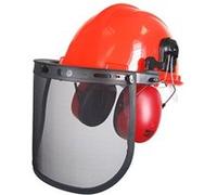 Casque forestier complet, visière + grillage