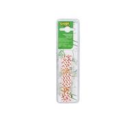 Greenstar 12624 Corde Coupée 1,8 M X 3 Mm 5109512