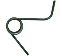 Greenstar 3607 Ressort scarificateur adaptable pour Wolf
