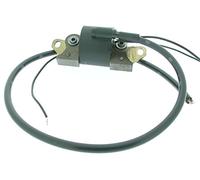 Greenstar 4923 Bobine d'allumage pour Lombardini LA490