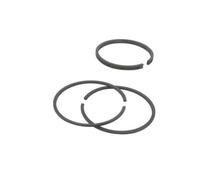 Greenstar 7885 Jeu de segment adaptable pour Briggs - Stratton