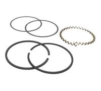 Greenstar 7890 Jeu de segment adaptable pour Briggs - Stratton
