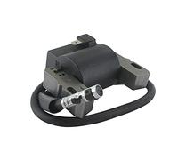 GREENSTAR - Bobine Électronique Adaptable Pour Modèles BRIGGS & STRATTON 10-13 ch., Vanguard 9, 12,5 & 14 ch., V Twin 9-14 ch. - Remplace Pièce Origine 490586, 491312, 492341, 495859, 591459