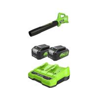 Greenworks 24V Souffleur à Batterie Axial de Feuilles Mortes sans Fil, 145 km/h, 9,08 m³/Min 4Ah Batterie Ni Chargeur, Garantie 3 Ans G24ABIIK4