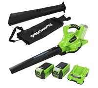 Greenworks 40V Aspirateur Souffleur Sans fil de Feuilles à Batterie avec Moteur Sans Balais, 280 km/h, 9,63 m³/min, Sac pour Mulching de 45L, Deux Batteries 2Ah et Chargeur, Garantie 3 Ans GD40BVK2X