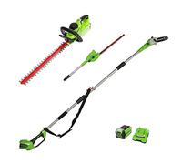 Greenworks 40V perche et taille-haie perche, taille-haie avec batterie/chargeur 2Ah