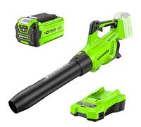 Greenworks 40V Souffleur sans Fil, Vitesse d'air de 193 km/h, Volume d'air de 14,2 m³/Min, Buse Réglable, Vitesse Variable à l'infini (avec 2Ah Batterie et Chargeur)