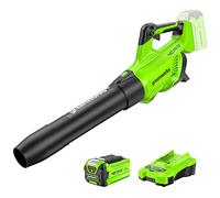 Greenworks 40V Souffleur sans Fil, Volume d'air 14,2 m3/Min, Vitesse de l'air 193,1 km/h, Vitesse Variable à l'infini (avec 2Ah Batterie et Chargeur)