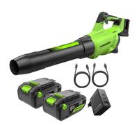 Greenworks 48V(24Vx2) Souffleur à Batterie Axial de Feuilles Sans Fil avec Moteur Sans Balai, Fonction Turbo, 217 km/h, 16,4 m³/min, AVEC Deux Batteries 24V 2Ah et Chargeur, Garantie 3 Ans BL48L420-01