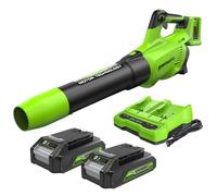 Greenworks 48V(24Vx2) Souffleur à Batterie Axial de Feuilles Sans Fil avec Moteur Sans Balai, Fonction Turbo, 217 km/h, 16,4 m³/min, AVEC Deux Batteries 24V 2Ah et Chargeur, Garantie 3 Ans GD24X2ABK2X