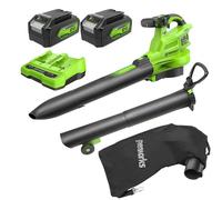 Greenworks 48V Aspirateur Souffleur sans Fil Feuilles BL48L421-01