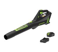 Greenworks 48V DVT Souffleur avec 2Ah Battery