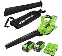Greenworks Aspirateur Souffleur sans Fil de Feuilles à Batterie GD40BV, Coupe-Bordures 40V 33cm G40LT33 avec 2 Batterie 2Ah et Chargeur