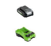 Greenworks Batterie 24V 2Ah, G24B2 + Greenworks Chargeur de Batterie 24V 2A, G24C